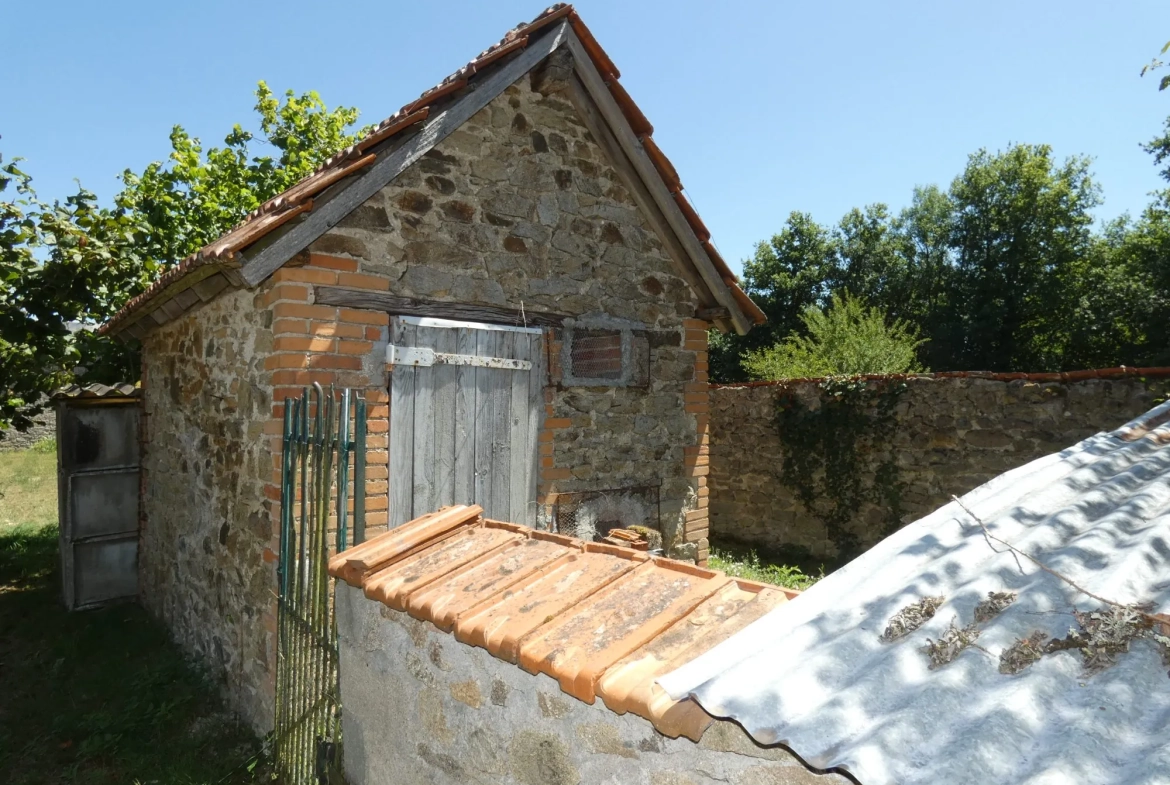 Grande maison avec plusieurs granges, cour et jardin à Jarnages 