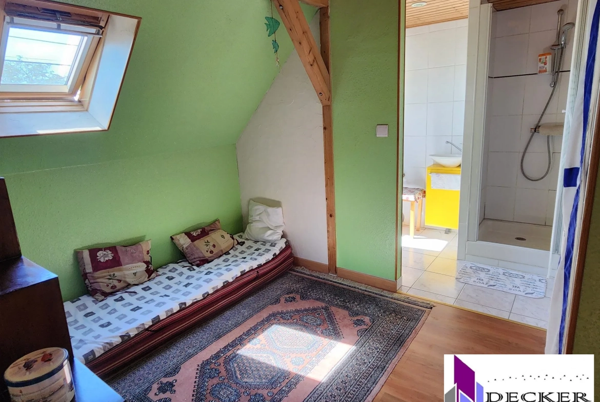 Maison rénovée de 121 m² avec dépendances et jardin à Schmittviller (57) 