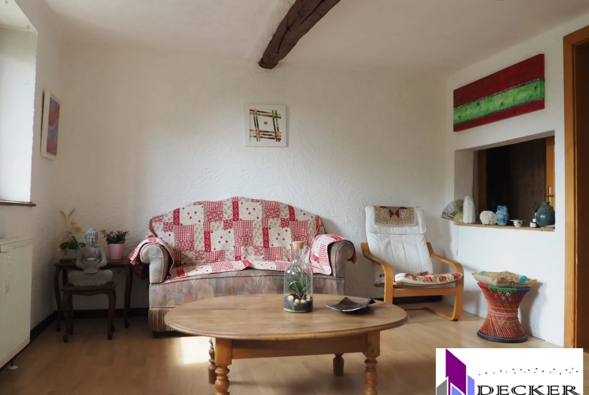 Maison rénovée de 121 m² avec dépendances et jardin à Schmittviller (57) 