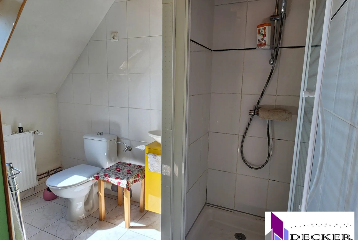 Maison rénovée de 121 m² avec dépendances et jardin à Schmittviller (57) 