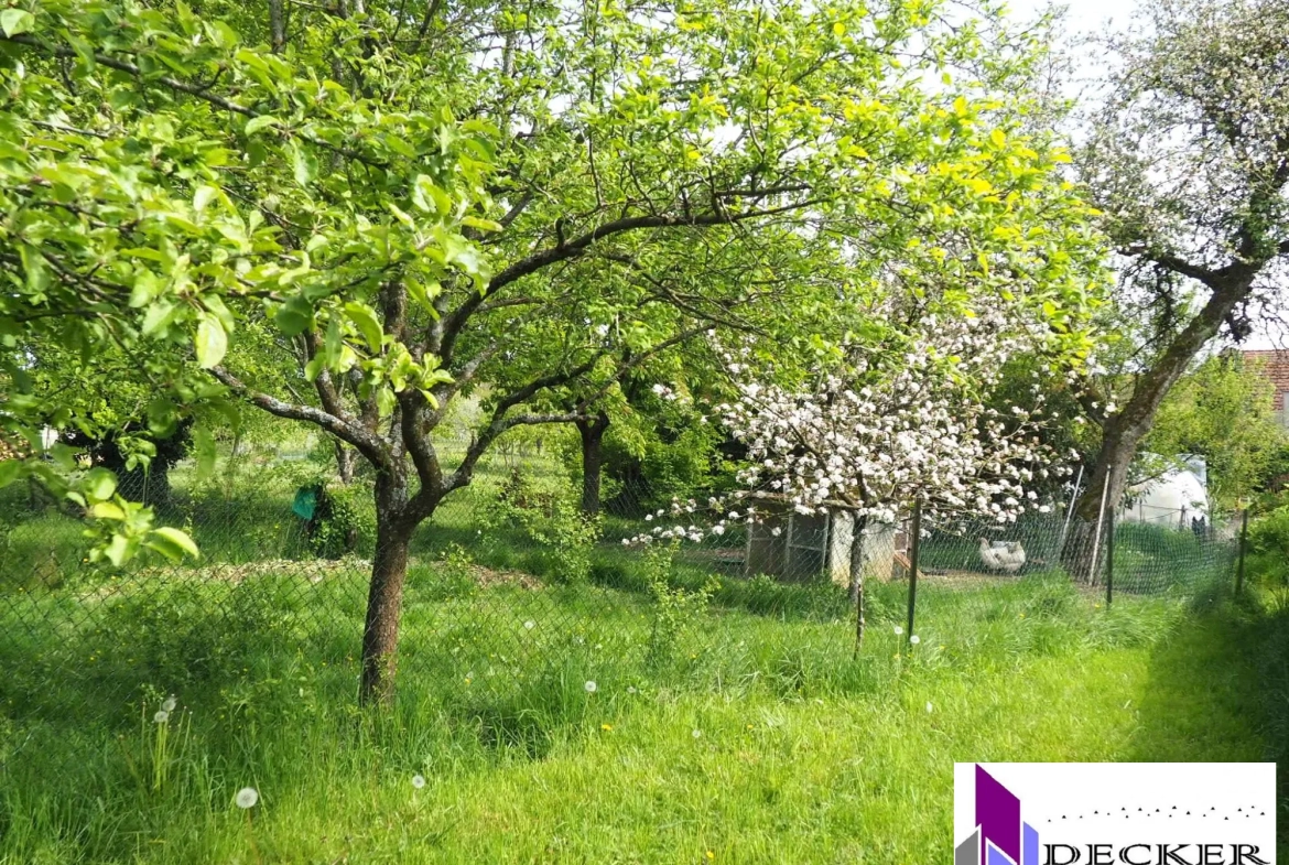 Maison rénovée de 121 m² avec dépendances et jardin à Schmittviller (57) 