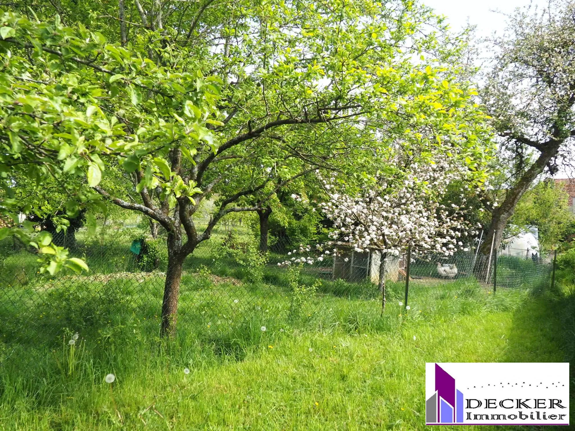Maison rénovée de 121 m² avec dépendances et jardin à Schmittviller (57) 