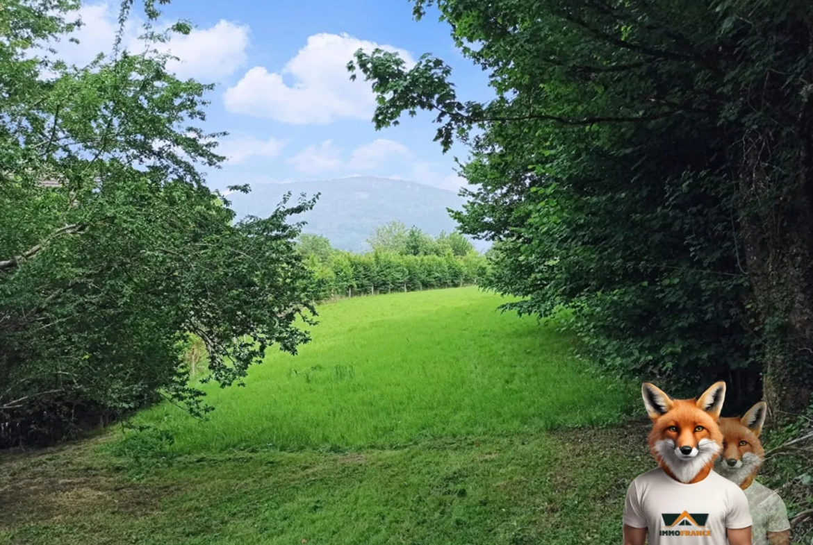 Terrain à bâtir de 25 ares à Nans-sous-Sainte-Anne - Vue dégagée et environnement paisible 