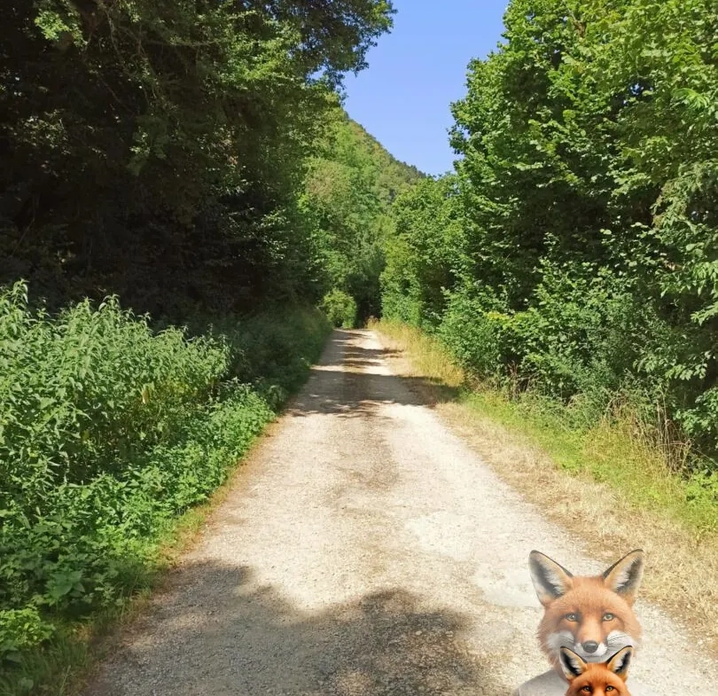 Terrain à bâtir de 25 ares à Nans-sous-Sainte-Anne - Vue dégagée et environnement paisible 