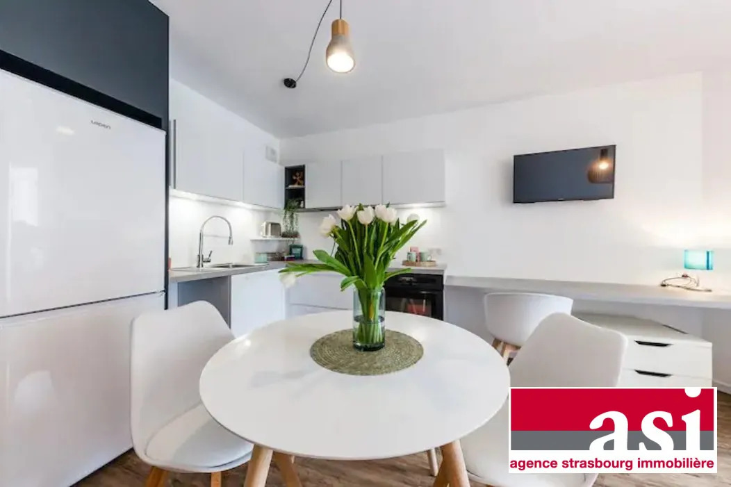 Appartement lumineux à vendre à Strasbourg proche gare et tram 