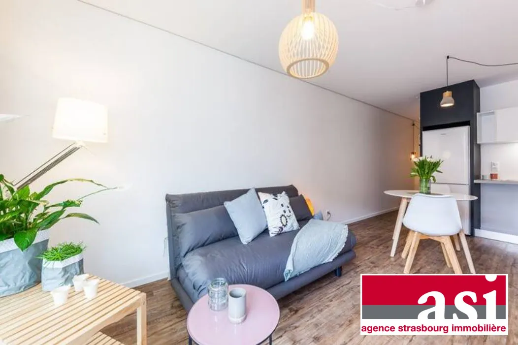 Appartement lumineux à vendre à Strasbourg proche gare et tram 