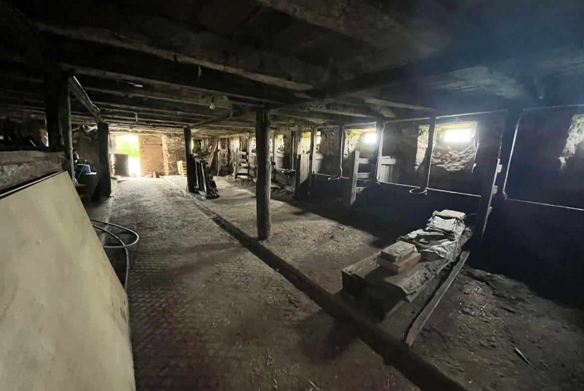 Ecurie Grande bâtisse en pierre à Champagnac - Possibilité de reconversion en habitation ou stockage 