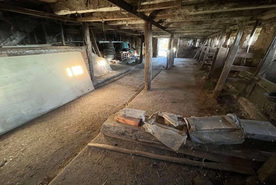 Ecurie Grande bâtisse en pierre à Champagnac - Possibilité de reconversion en habitation ou stockage 