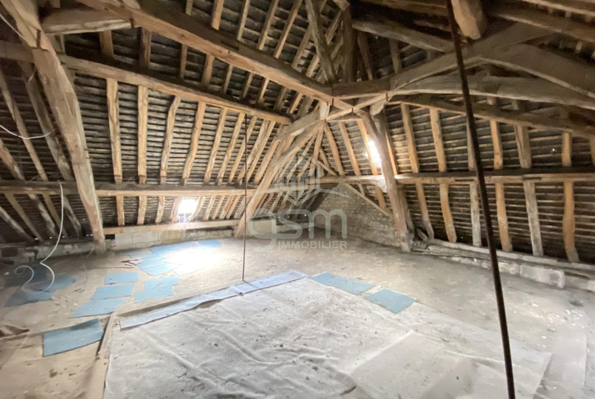 Ensemble immobilier polyvalent à Sainte-Maure-de-Touraine avec fort potentiel 