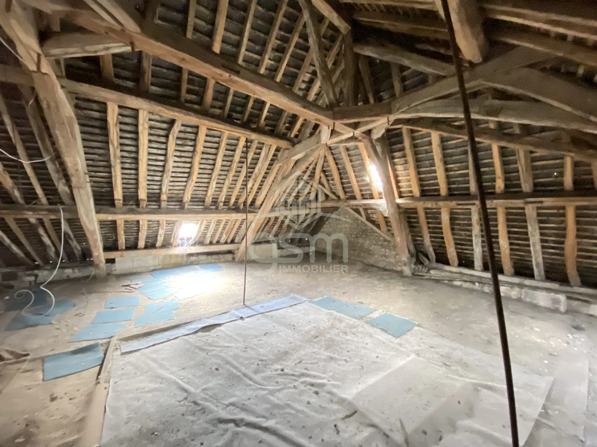 Ensemble immobilier polyvalent à Sainte-Maure-de-Touraine avec fort potentiel 