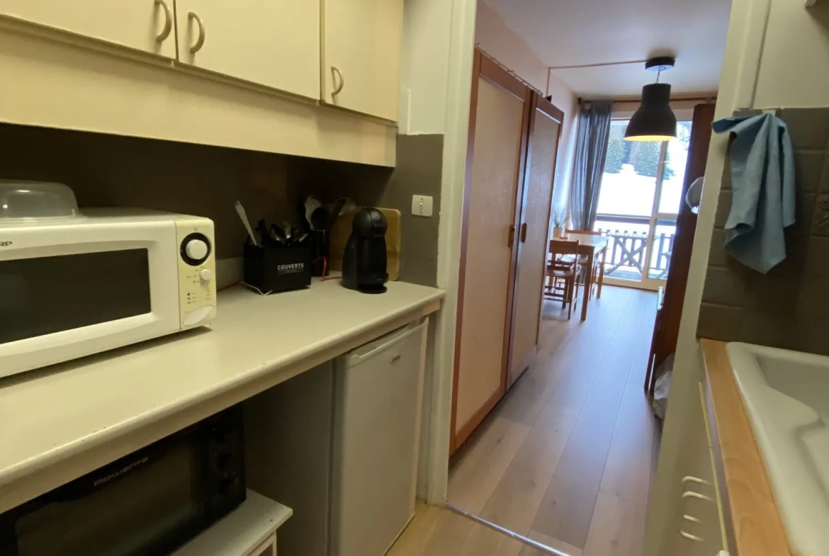 Charmant studio meublé de 26 m² avec terrasse à Dévoluy, vue montagne 