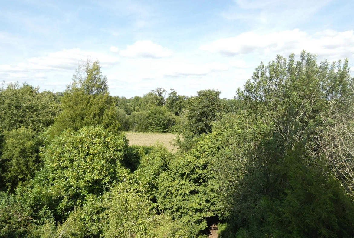 Grande maison de village avec jardin et garage à Jarnages 