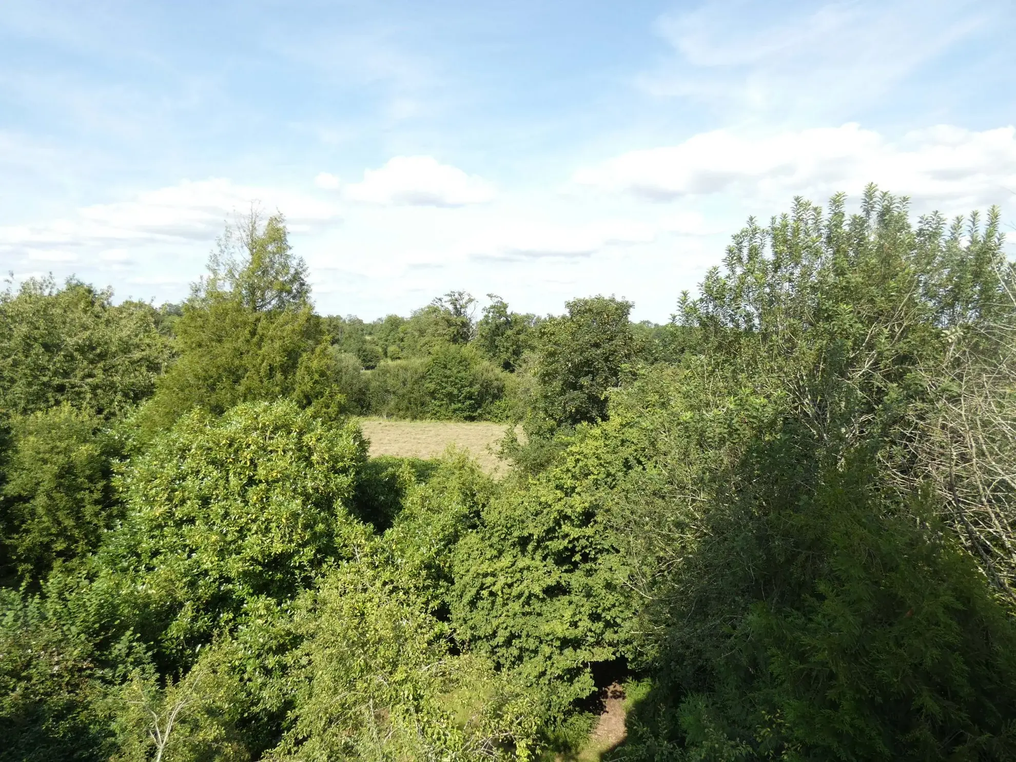 Grande maison de village avec jardin et garage à Jarnages 