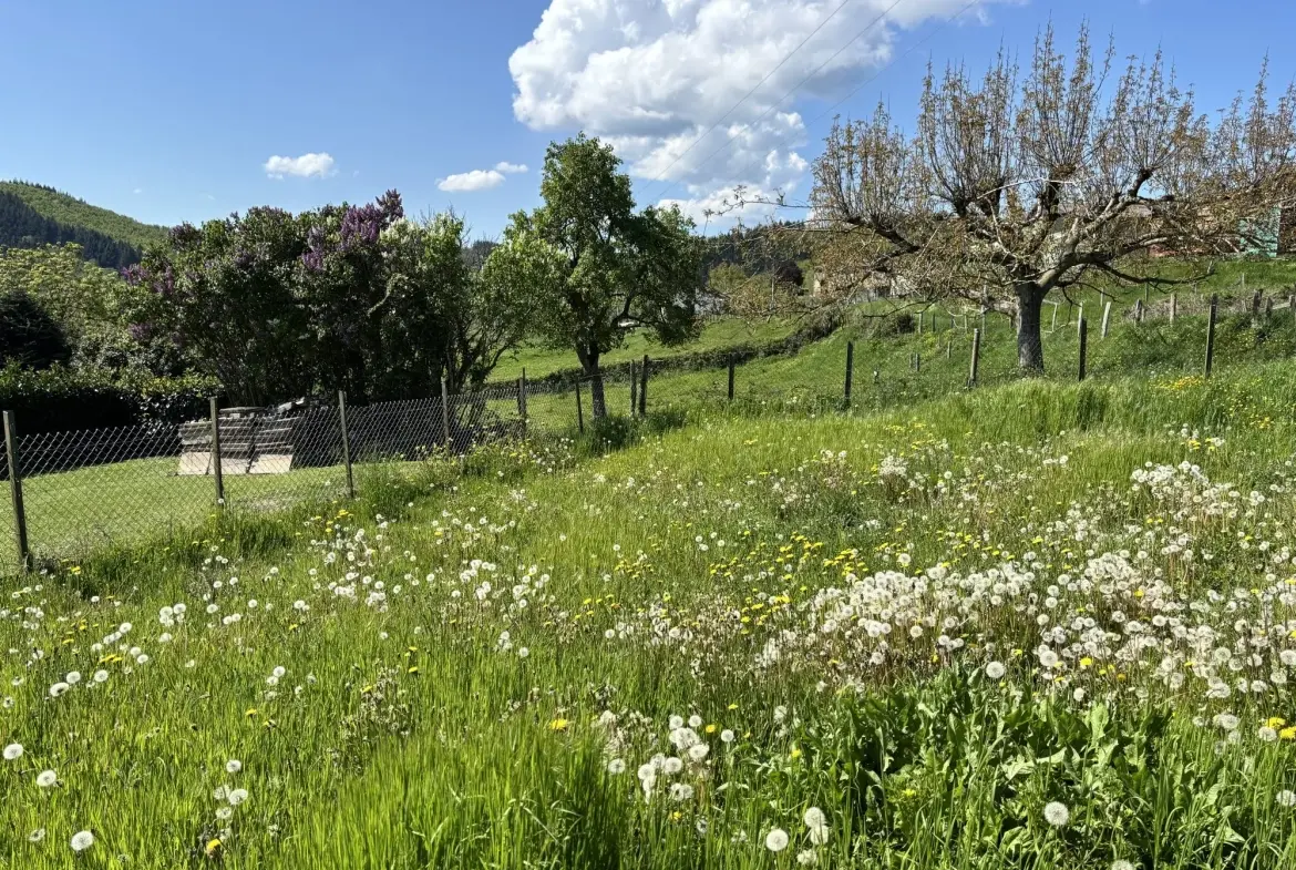 Charmante maison en pierre avec jardin et vue dégagée dans les Deux-Grosnes 