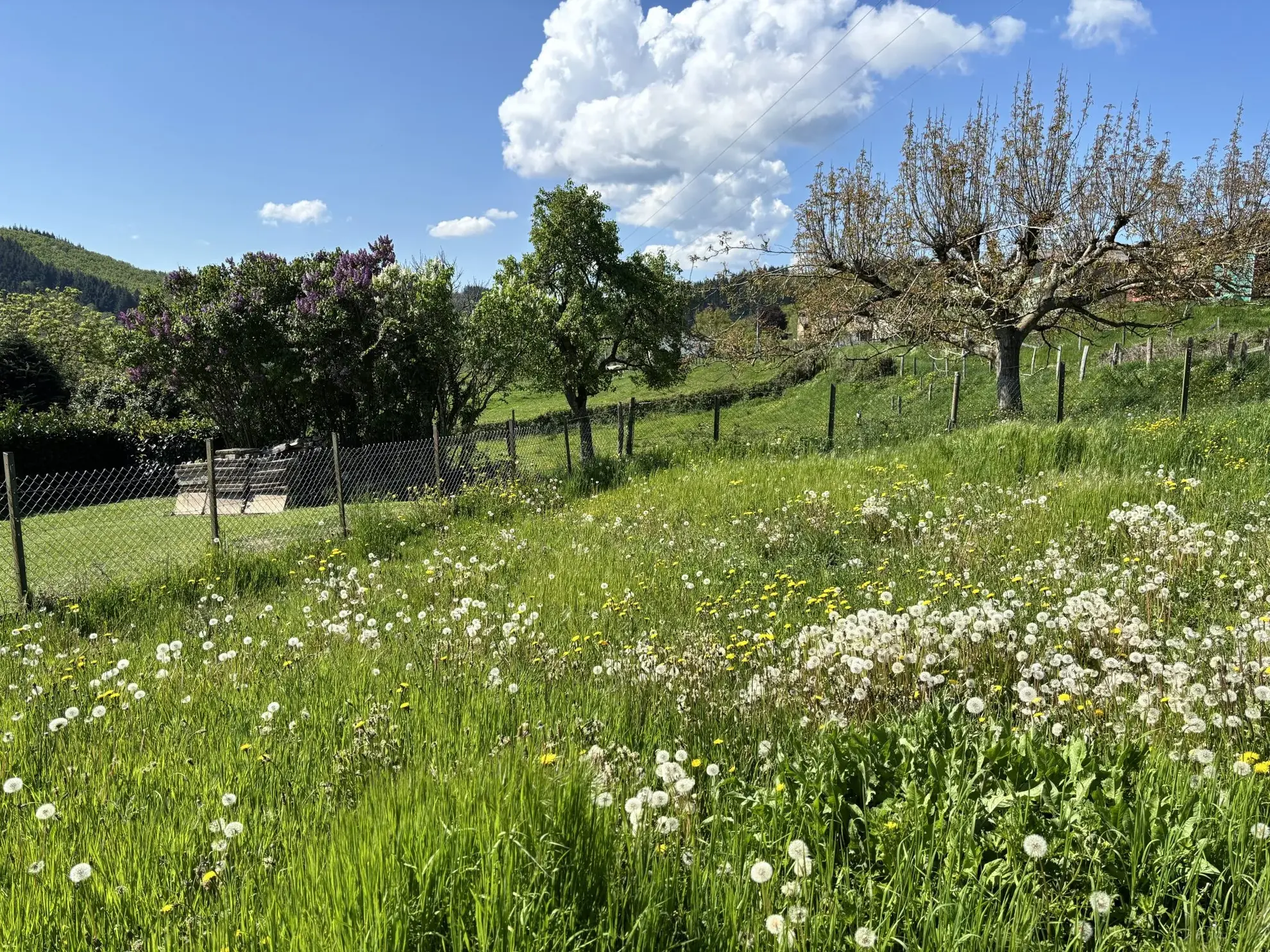 Charmante maison en pierre avec jardin et vue dégagée dans les Deux-Grosnes 