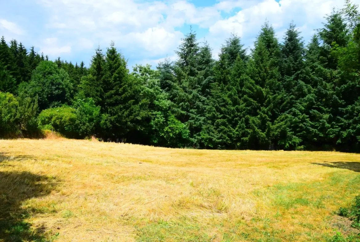 Maison à vendre à Vielprat en Ardèche avec terrain, garage et terrasse – Opportunité rare 