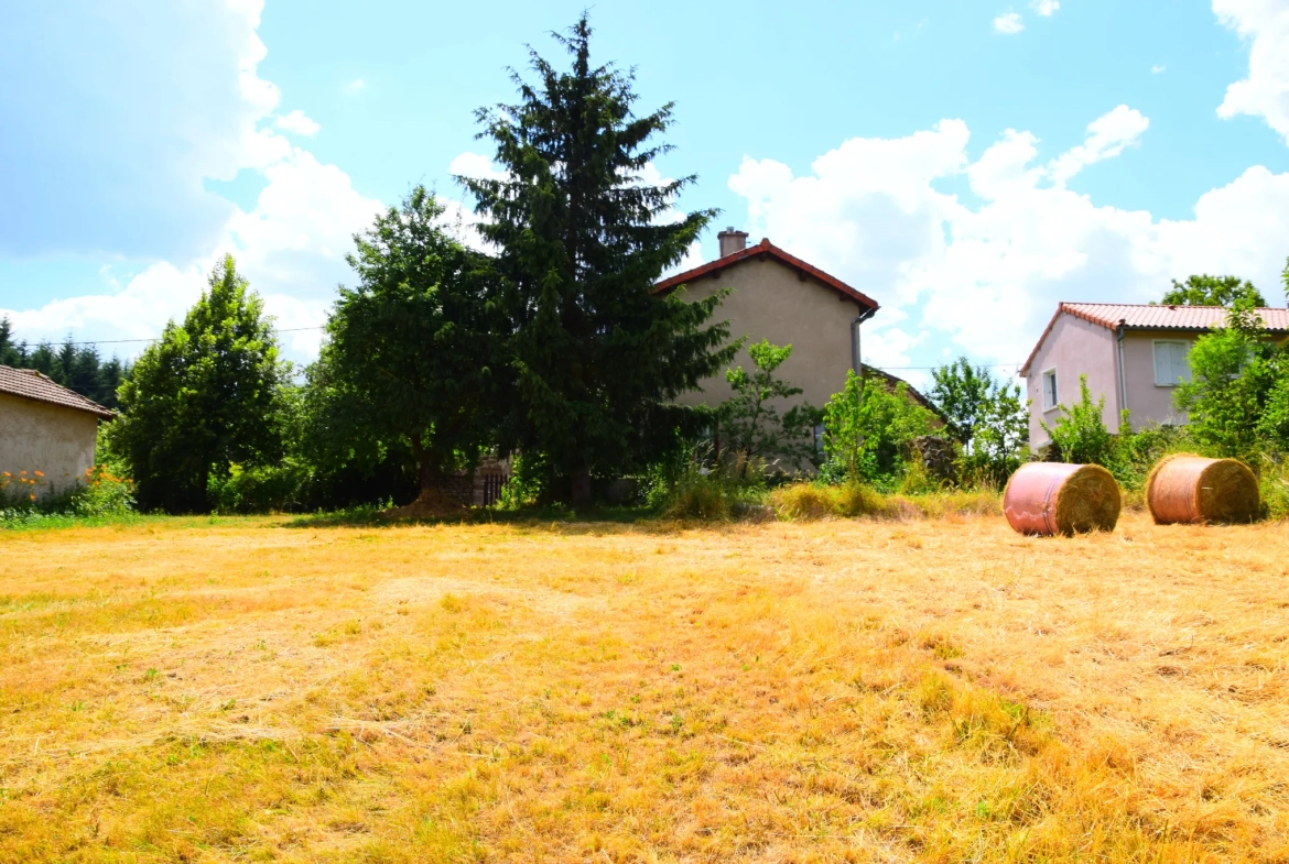 Maison à vendre à Vielprat en Ardèche avec terrain, garage et terrasse – Opportunité rare 