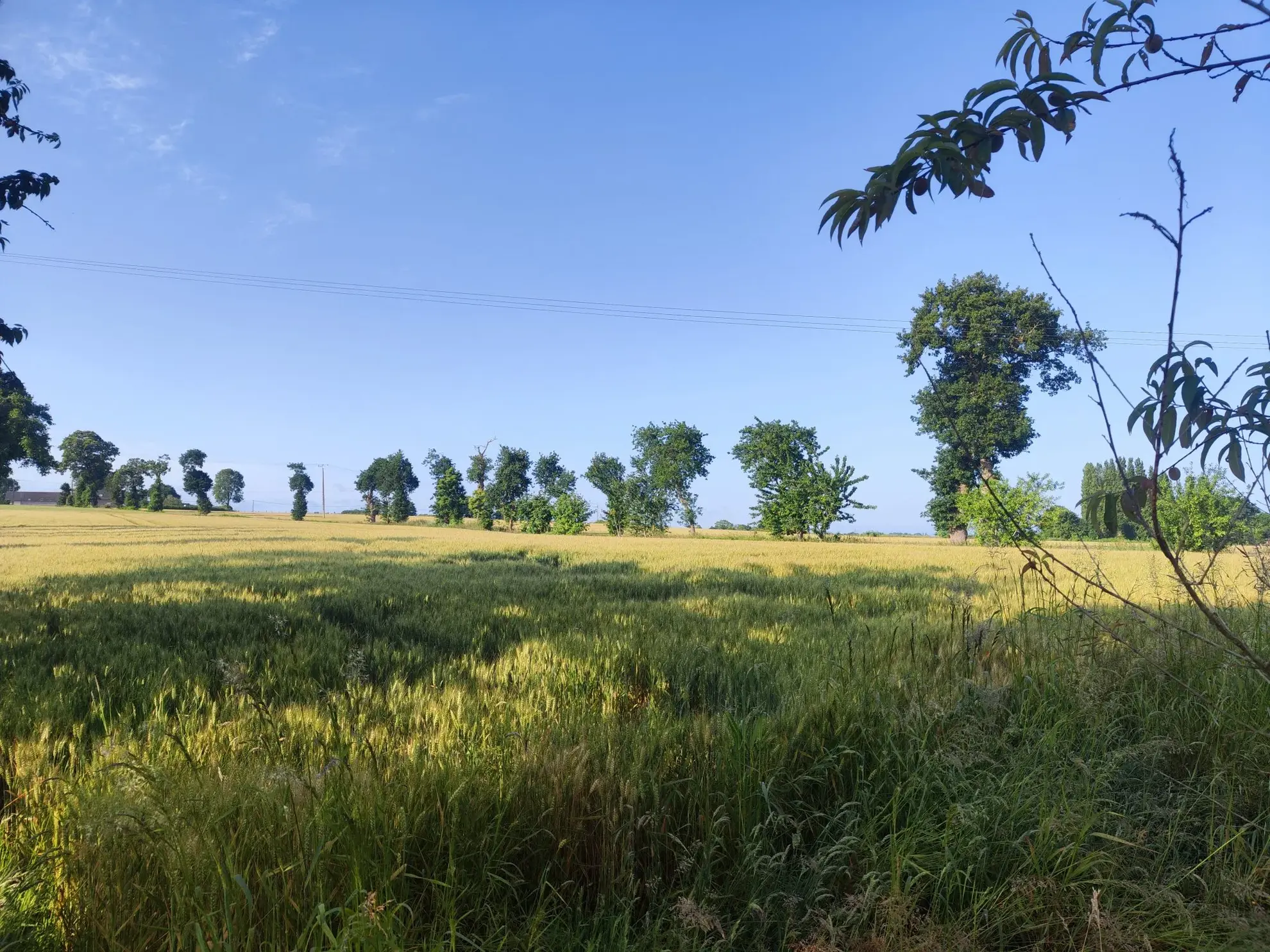Maison en pierre à Corseul avec terrain et revenus locatifs potentiels 
