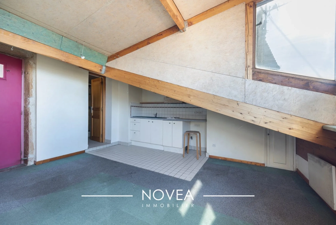 Appartement T1 bis à vendre avec vue imprenable sur Fourvière à Lyon 