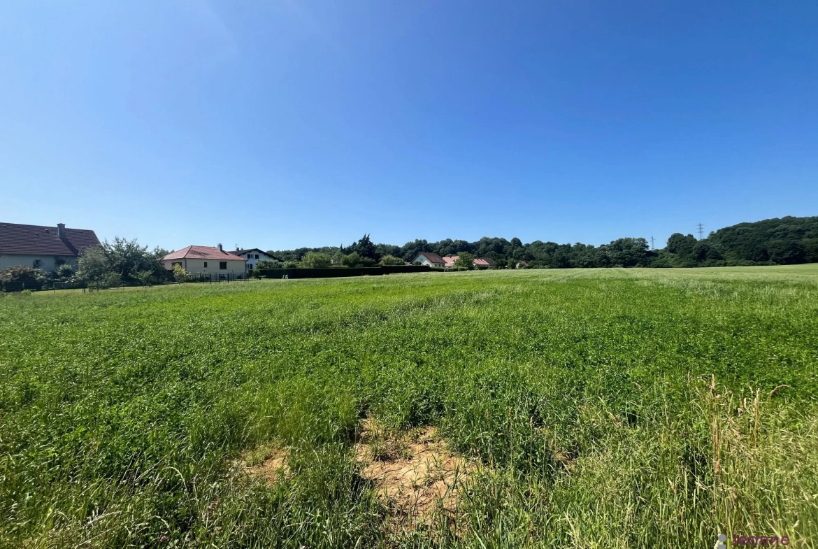 Terrain constructible à BAVILLIERS de 4,81 ares dans un futur lotissement 