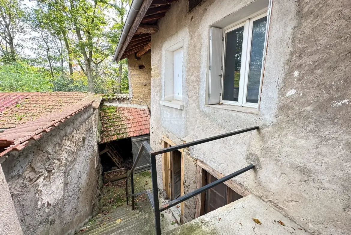 Maison à rénover avec potentiel à Chazelles-sur-Lyon, 90 m² 