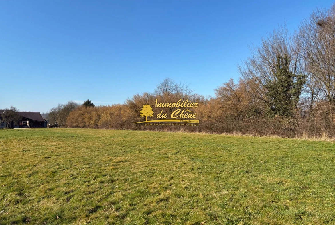 Terrain constructible à Bouhans-lès-Lure avec vue dégagée et faible aléa 