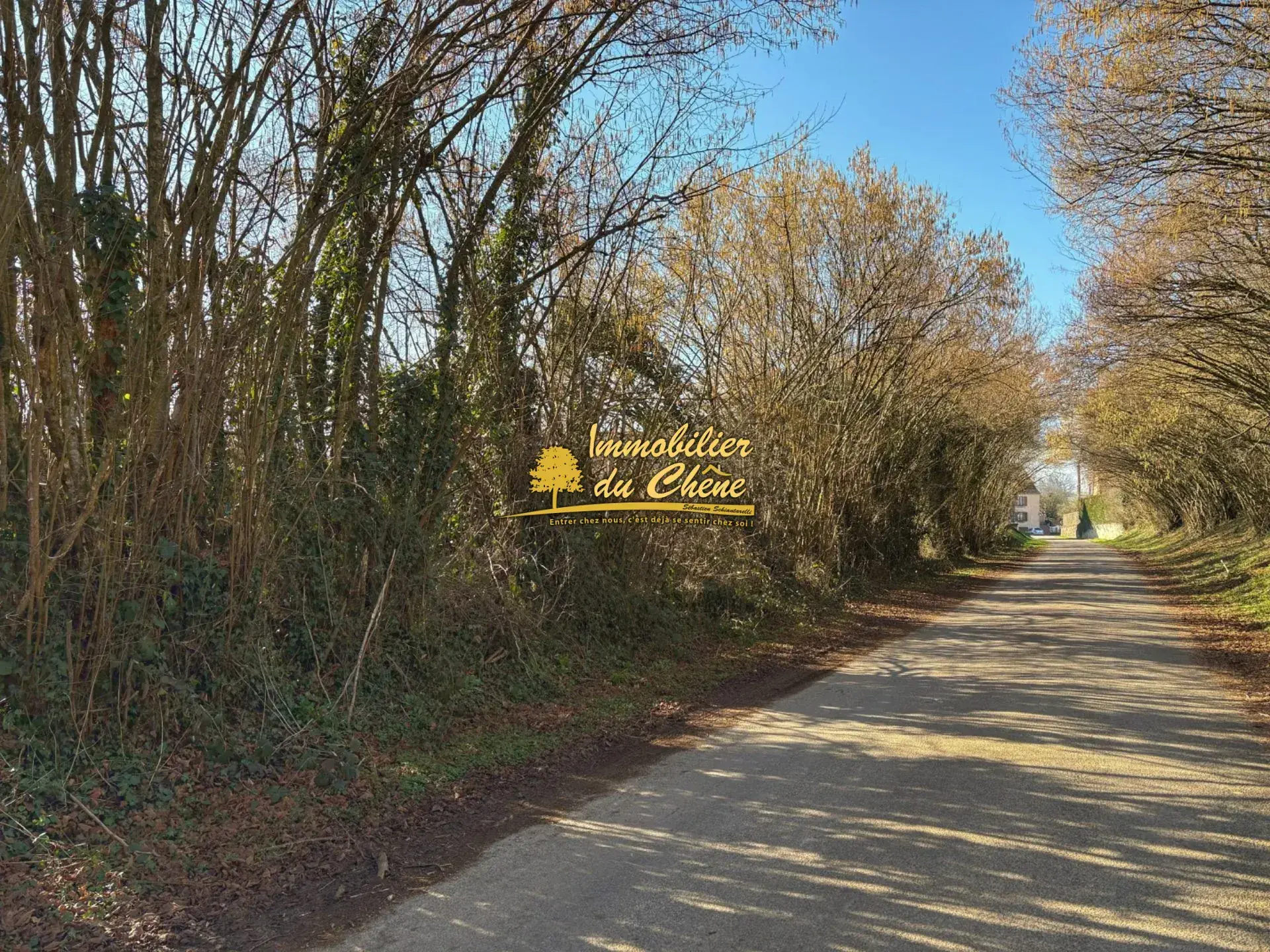 Terrain constructible à Bouhans-lès-Lure avec vue dégagée et faible aléa 