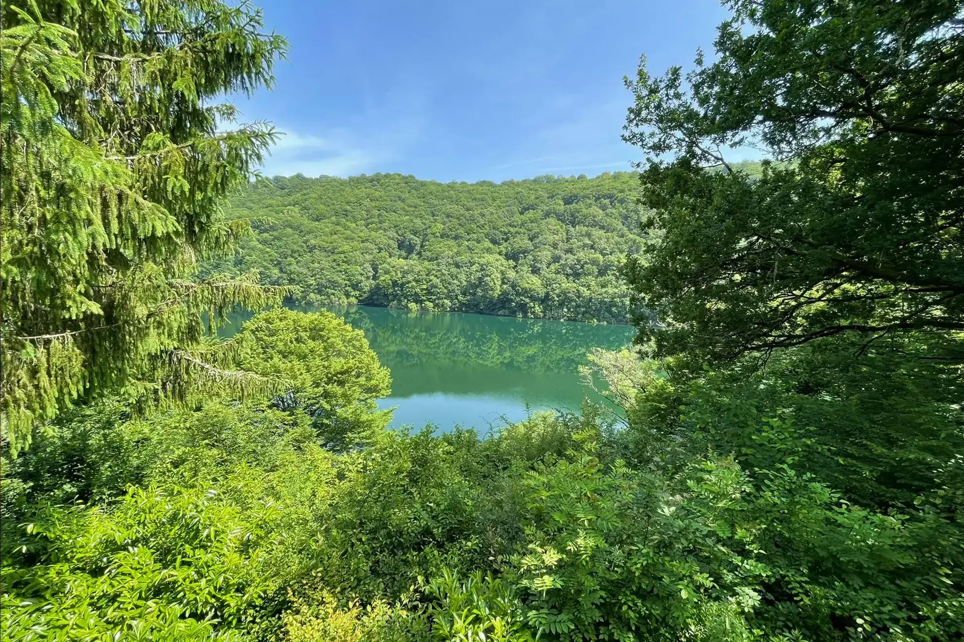Maison individuelle de 70 m² avec grand terrain à Pleaux 