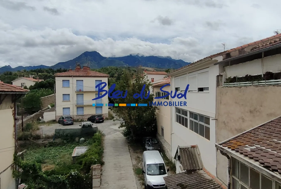 Vue Appartement T3 à rafraîchir avec vue sur le Canigou à Prades 