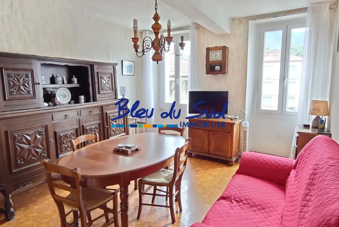 Sejour Appartement T3 à rafraîchir avec vue sur le Canigou à Prades 