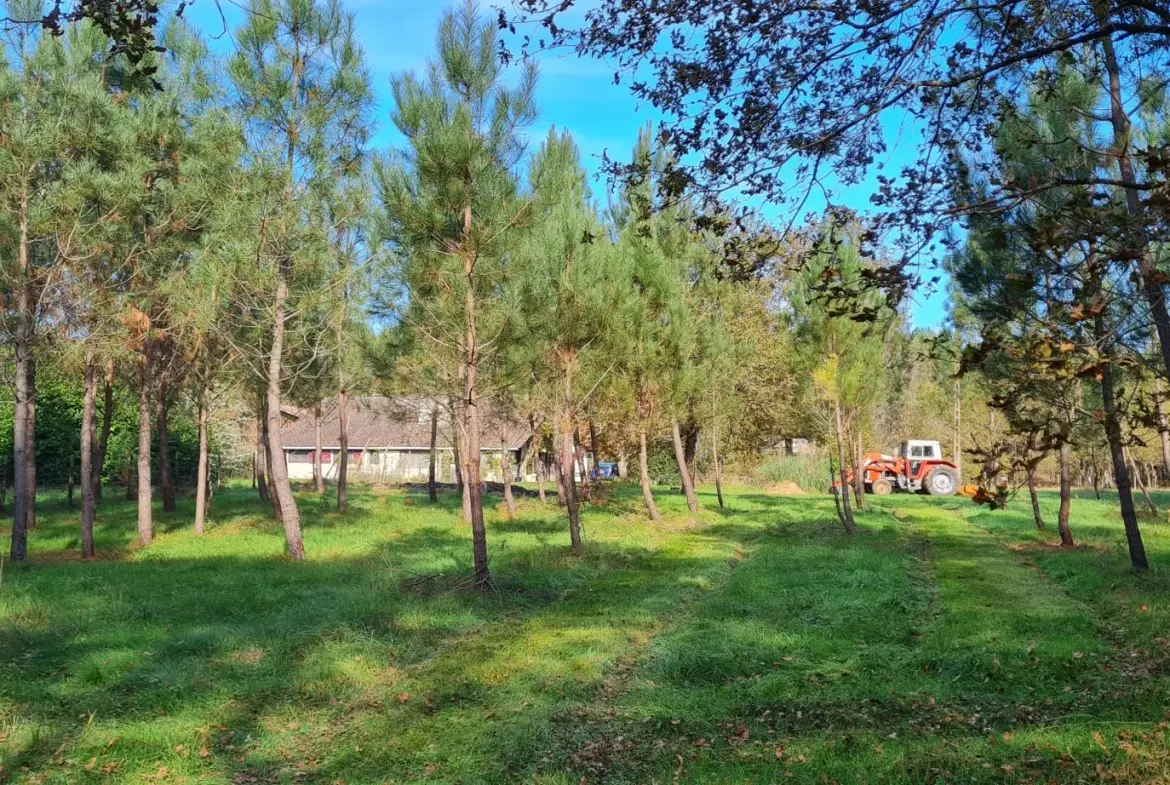 Maison ancienne de plain-pied de 1825 sur 2,75 hectares avec dépendances à Bazas 