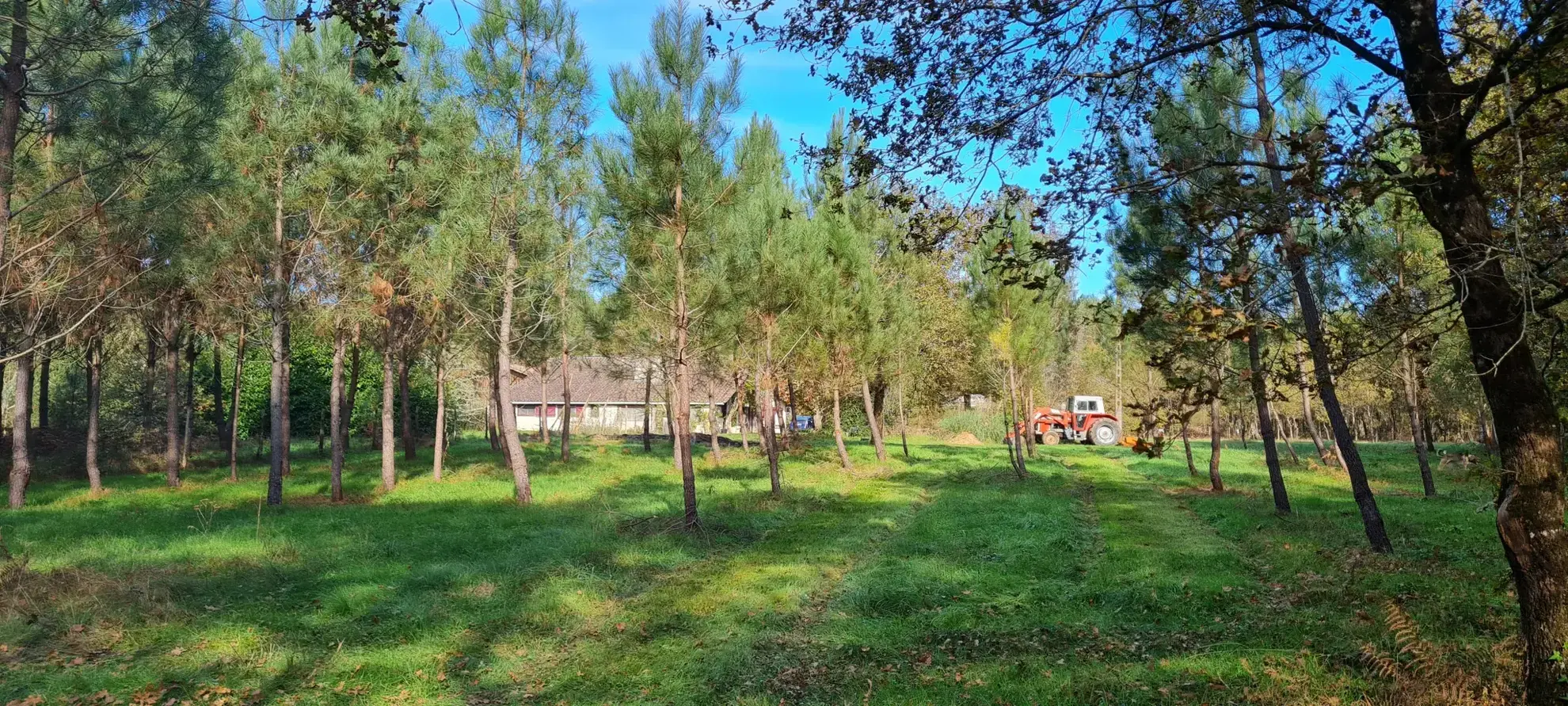 Maison ancienne de plain-pied de 1825 sur 2,75 hectares avec dépendances à Bazas 