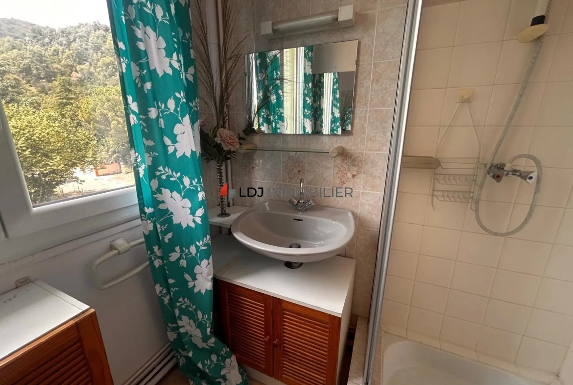 Appartement T2 meublé avec vue dégagée et balcon à Amélie-les-Bains-Palalda 