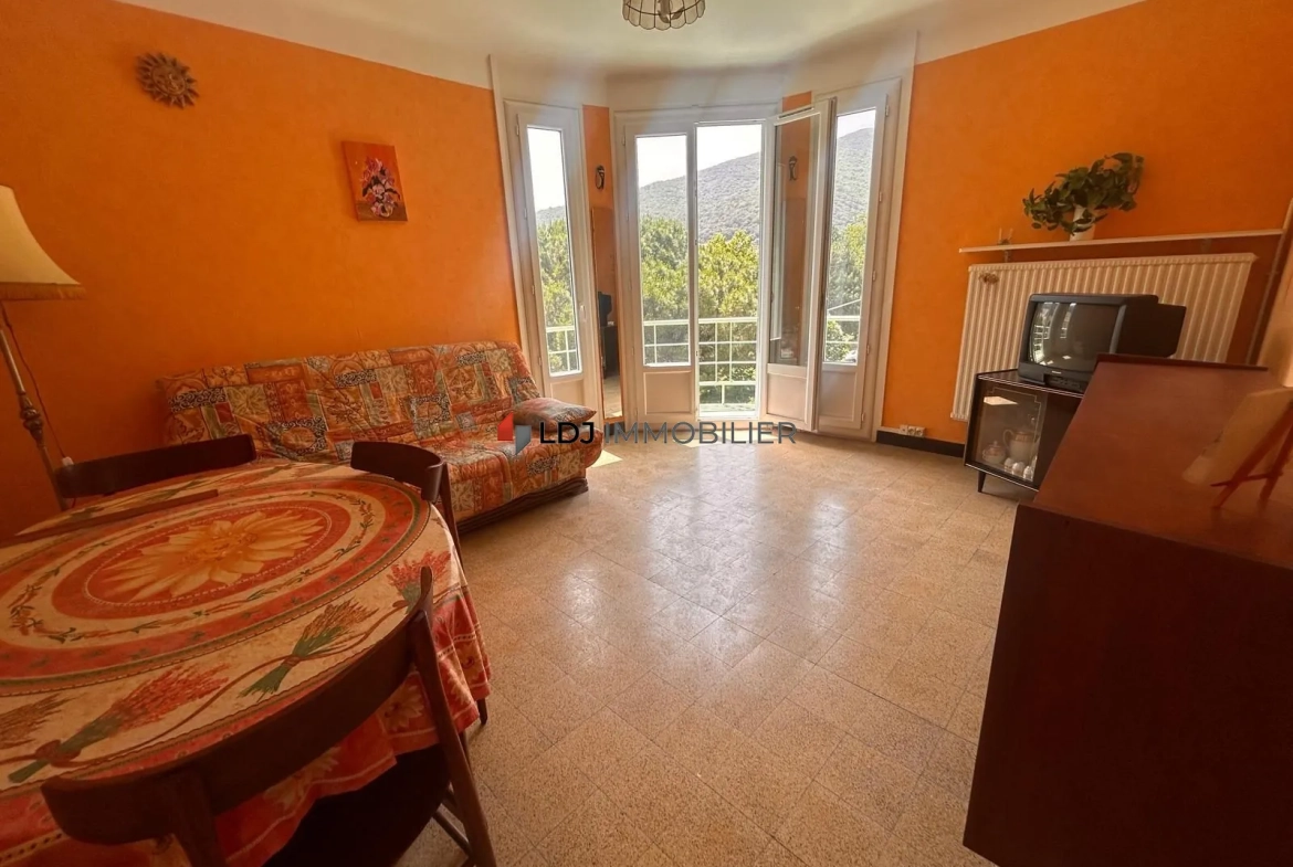 Appartement T2 meublé avec vue dégagée et balcon à Amélie-les-Bains-Palalda 