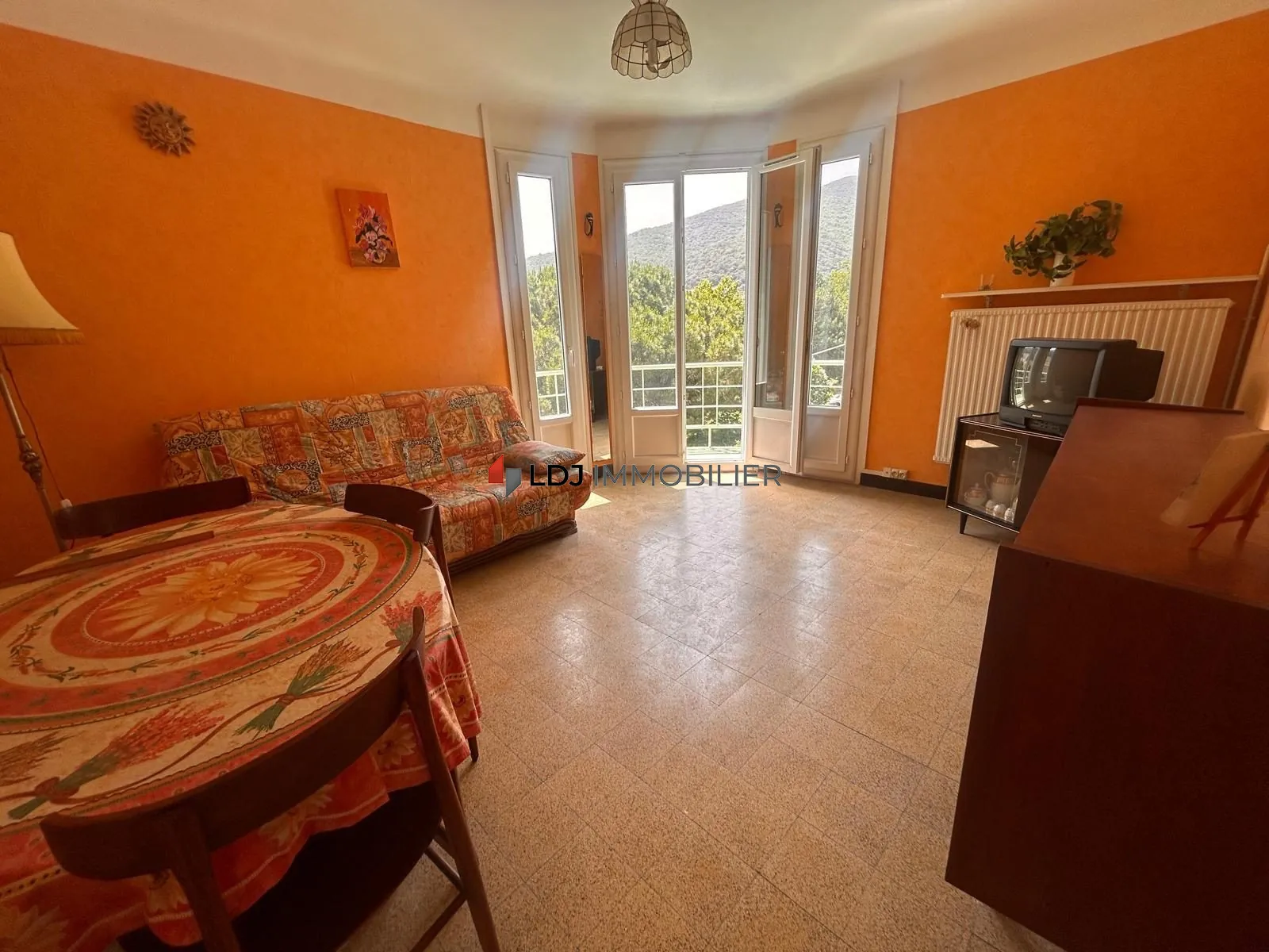 Appartement T2 meublé avec vue dégagée et balcon à Amélie-les-Bains-Palalda 