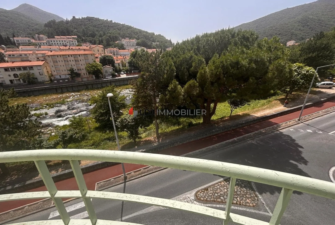 Appartement T2 meublé avec vue dégagée et balcon à Amélie-les-Bains-Palalda 