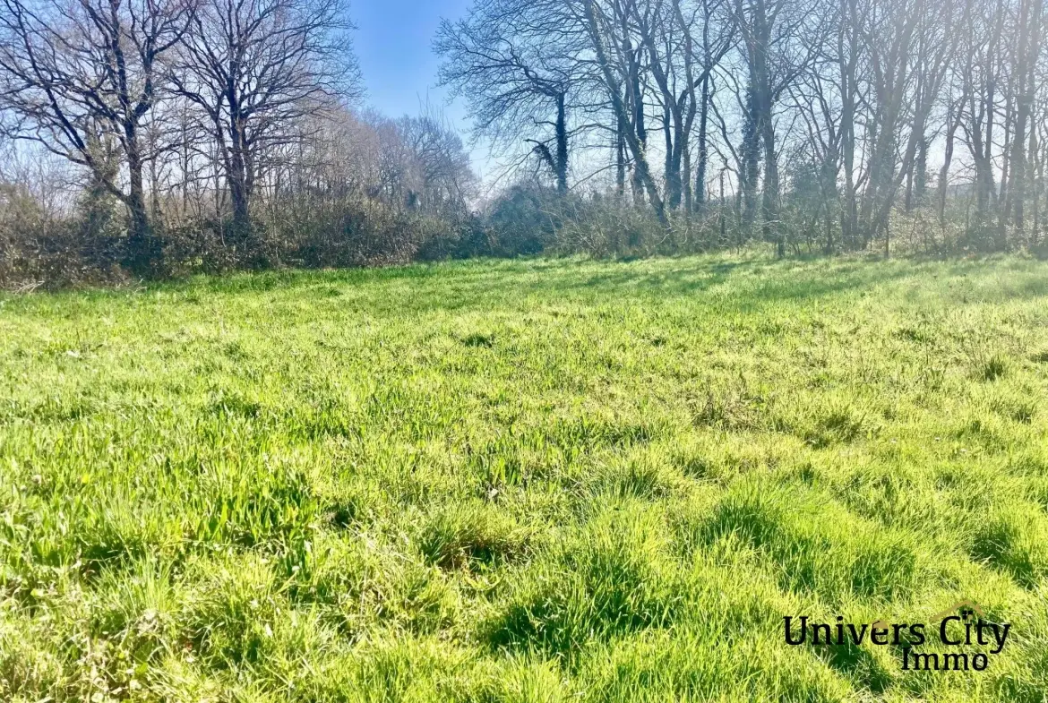 Terrain constructible de 700 m² à La Chevrolière - Opportunité à saisir 