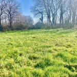 Terrain constructible de 700 m² à La Chevrolière - Opportunité à saisir