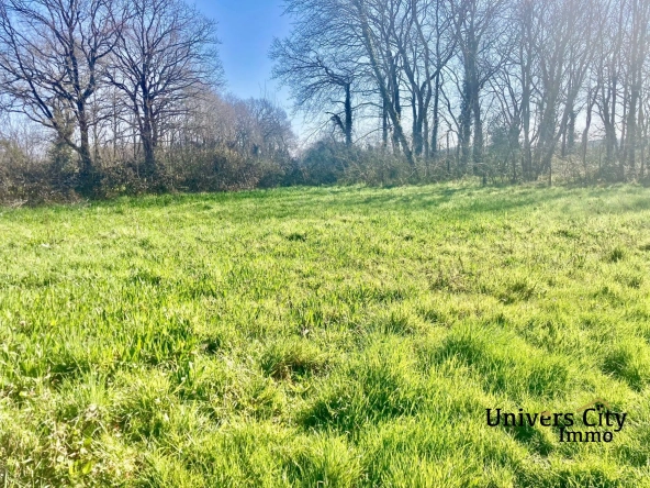 Terrain constructible de 700 m² à La Chevrolière - Opportunité à saisir