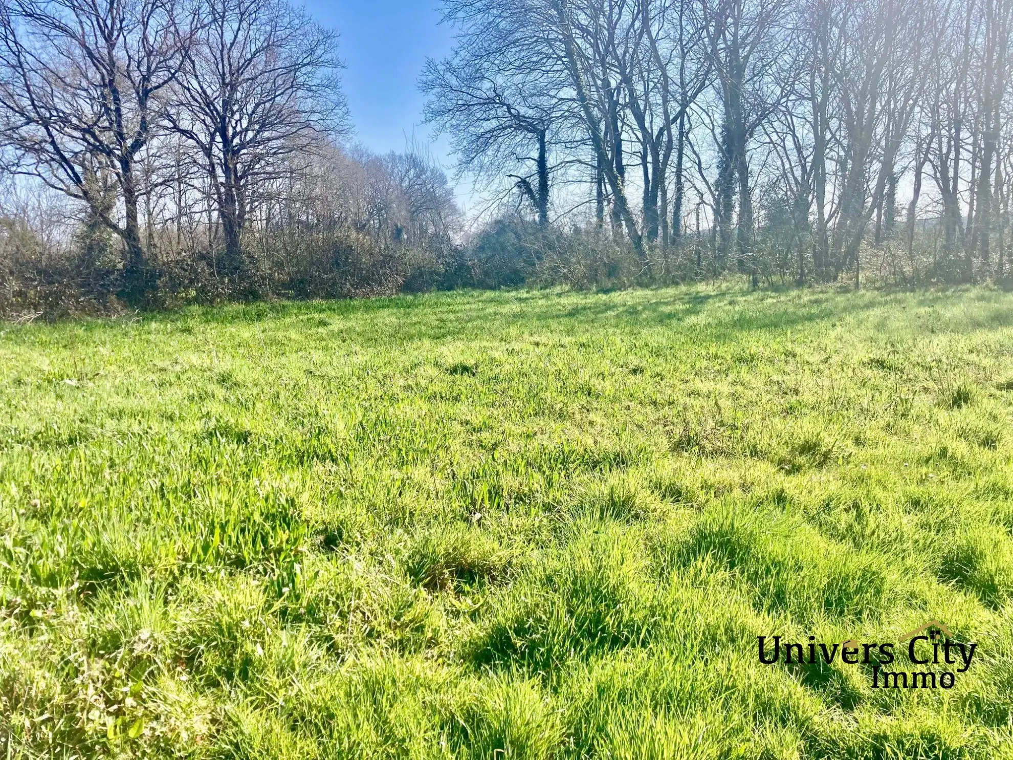 Terrain constructible de 700 m² à La Chevrolière - Opportunité à saisir 