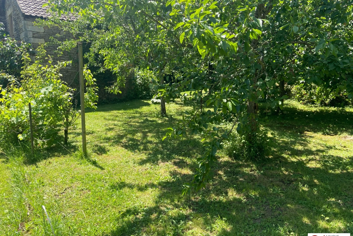 Maison à rénover entre Avallon et Montbard avec jardin et dépendance 