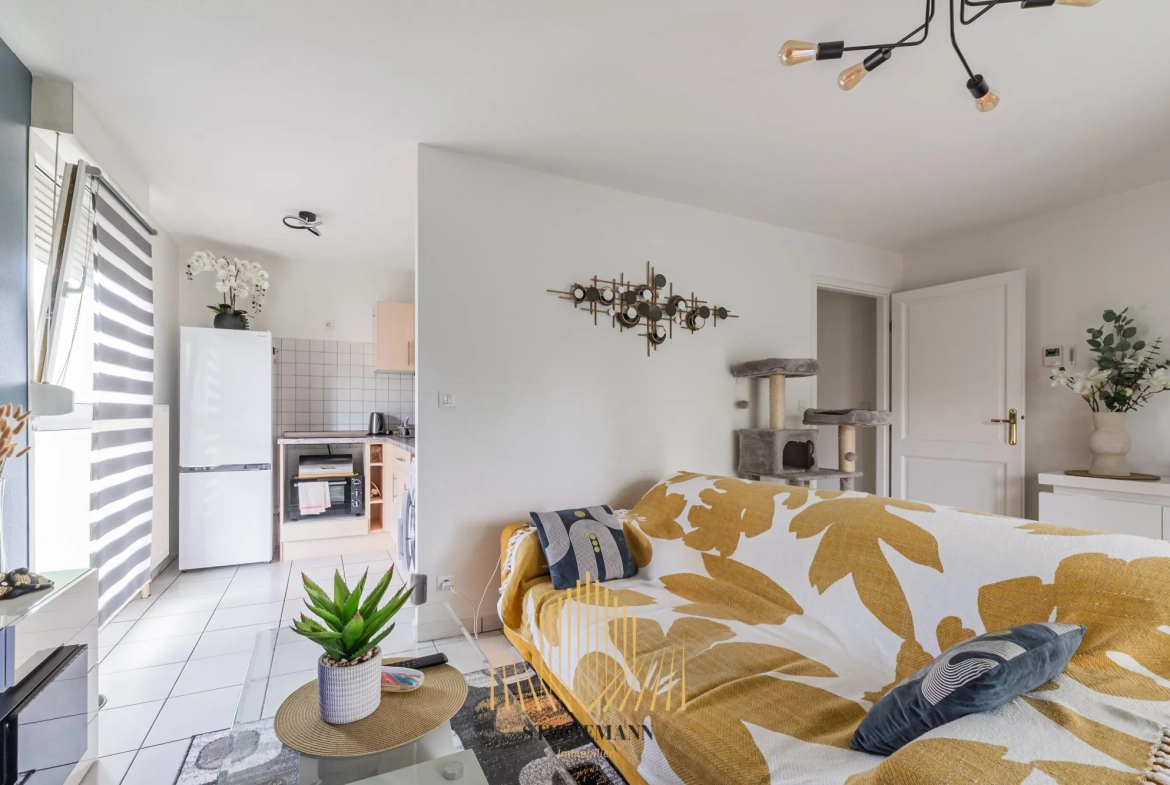 Appartement F2 à vendre à Haguenau proche du centre hospitalier avec terrasse et garage 
