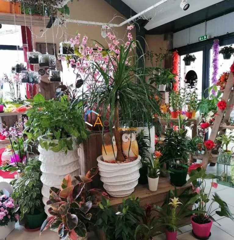 Fonds de commerce fleuriste à vendre à Dun-sur-Auron, emplacement privilégié 