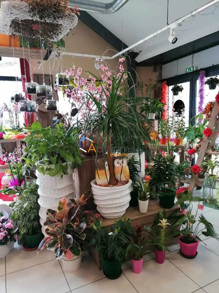 Fonds de commerce fleuriste à vendre à Dun-sur-Auron, emplacement privilégié 
