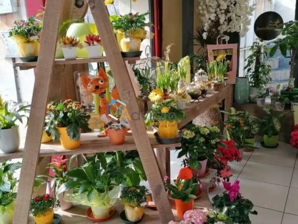 Fonds de commerce fleuriste à vendre à Dun-sur-Auron, emplacement privilégié