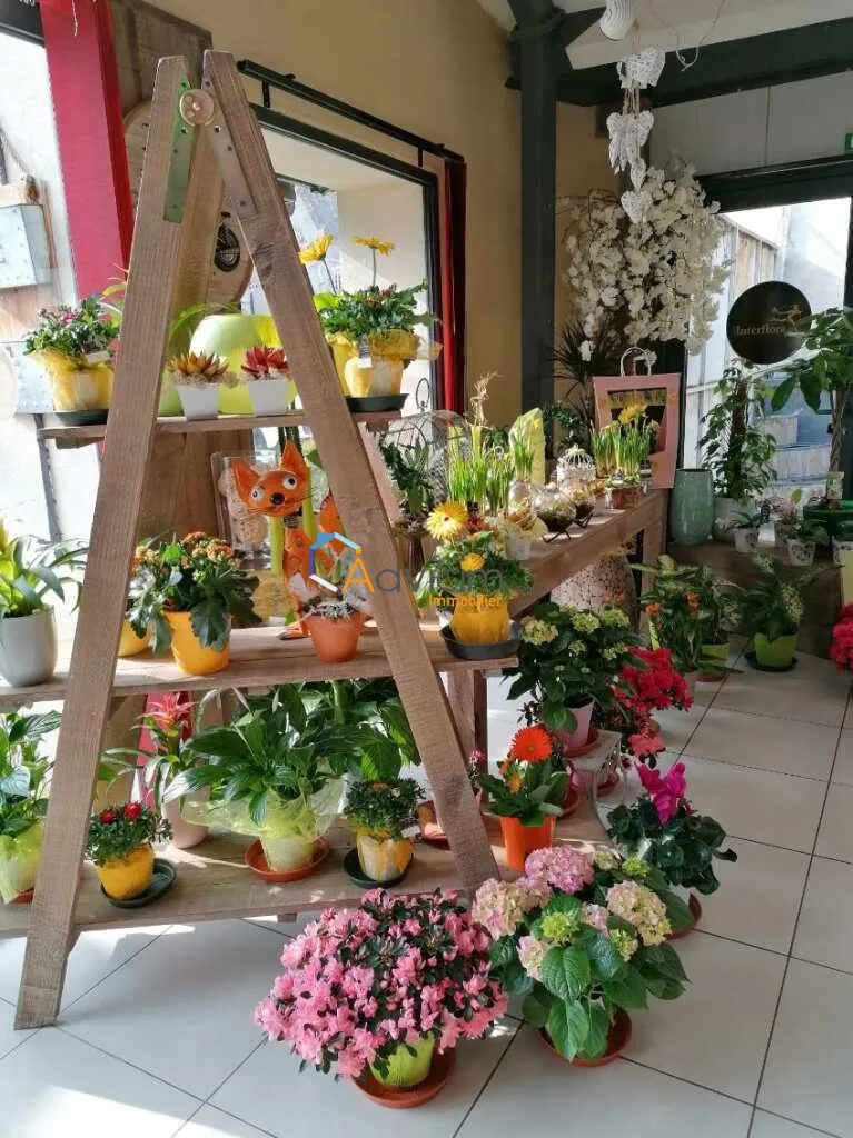 Fonds de commerce fleuriste à vendre à Dun-sur-Auron, emplacement privilégié 
