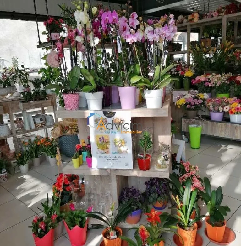 Fonds de commerce fleuriste à vendre à Dun-sur-Auron, emplacement privilégié 