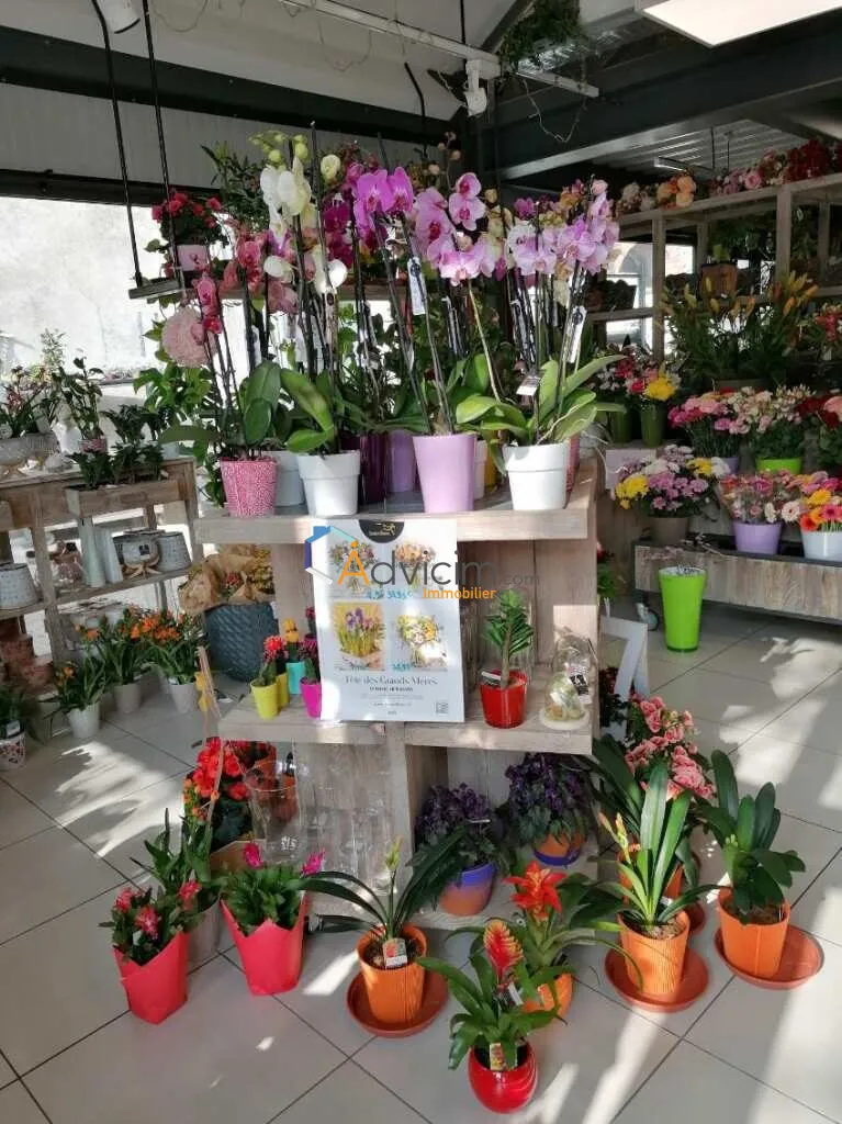 Fonds de commerce fleuriste à vendre à Dun-sur-Auron, emplacement privilégié 