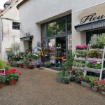 Fonds de commerce fleuriste à vendre à Dun-sur-Auron — Opportunité rare