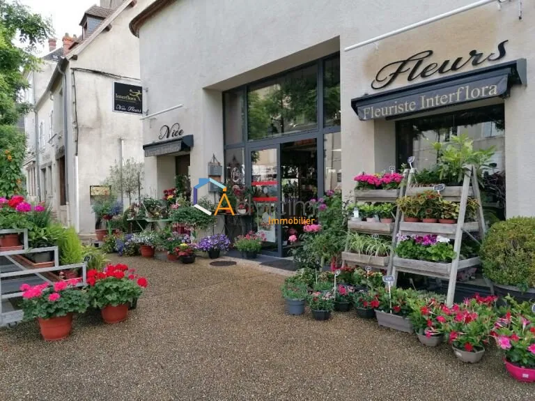 Fonds de commerce fleuriste à vendre à Dun-sur-Auron, emplacement privilégié 